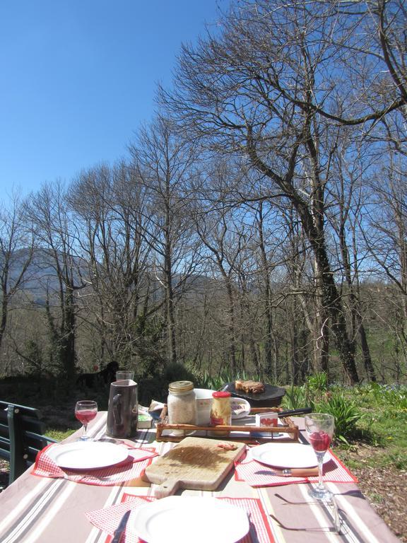Les Cimes Bed & Breakfast Saint-Pierre-de-Riviere Exterior photo